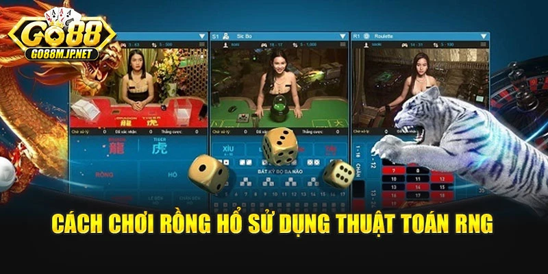 Cách chơi rồng hổ sử dụng thuật toán RNG